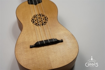 ukulele concert 14 FA.S